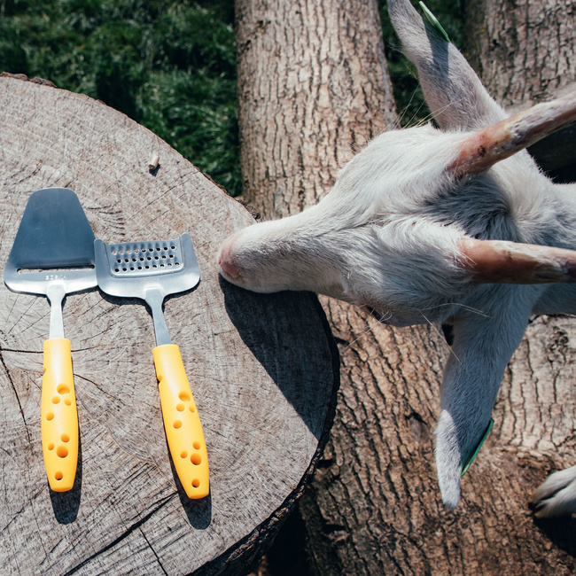 Nóż łopatka Do Sera Cheesy