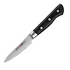 Samura Pro-S Paring Knife - Kuchenny Nóż Do Obierania, 88mm, Ostrze Stalowe