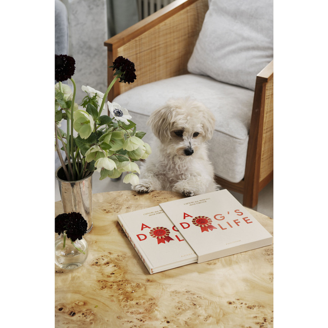 Dziennik psa Printworks A Dog's Life, pamiętnik do wypełnienia, okładka z tkaniny, 64 strony