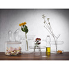 Butelka do oliwy 750 ml Ivv