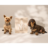 wkładki do albumów dla psów a dog's life - Printworks