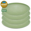 Talerz 4 szt. Connect 25,5 cm Leaf Green 7101703 - Koziol