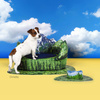 Legowisko dla psa Les Alpes z matą 60 cm United Pets