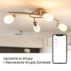 Żarówka LED Extralink Smartlife E27 A70, Wi-Fi, barwa od 2700 do 6500 K, 1055 lm