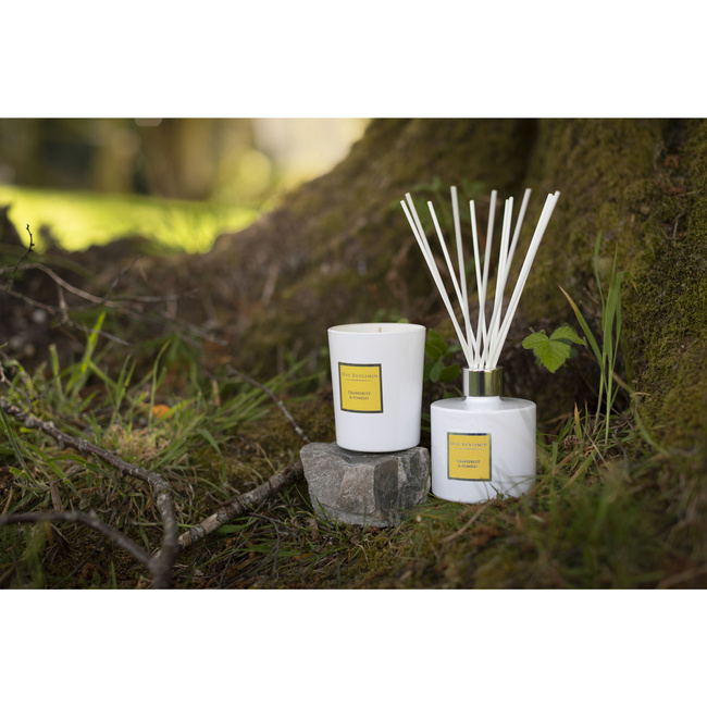 Dyfuzor Zapachowy 150ml - Grapefruit & Pomelo - Max Benjamin