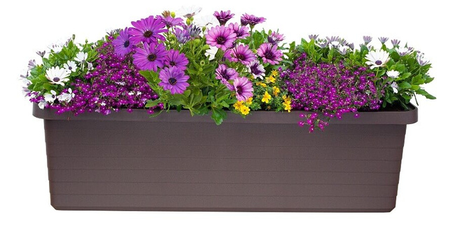 Plastia Berberis Trio Donica Samonawadniająca 117 x 39 cm - brązowy