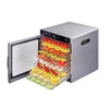 Suszarka do owoców, warzyw grzybów Wartmann WM-2110 Dehydrator - Outlet