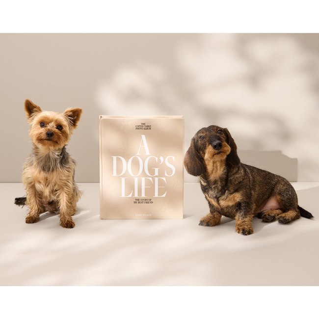 Wkładka do albumu dla psów - A dogs life photo albums - Printworks