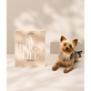 wkładki do albumów dla psów a dog's life - Printworks