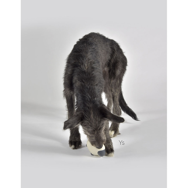Zabawka Gumowa- Owca Nora - United Pets