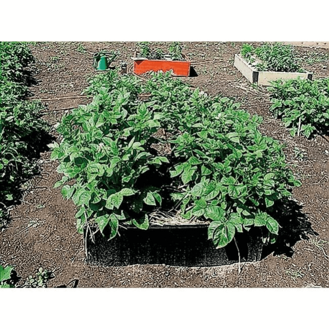 Grządka ogrodowa 230 l Garland