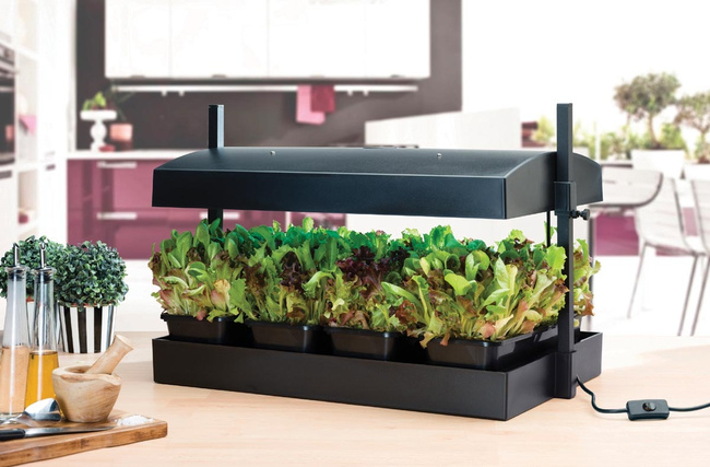 Propagator z oświetleniem do domowej hodowli warzyw i ziół Garland