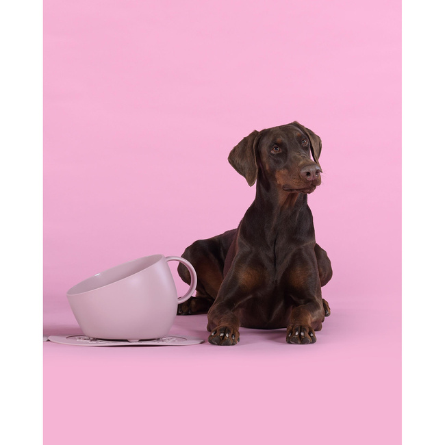Miska dla psa Cup, 2500 ml, różowa - United Pets