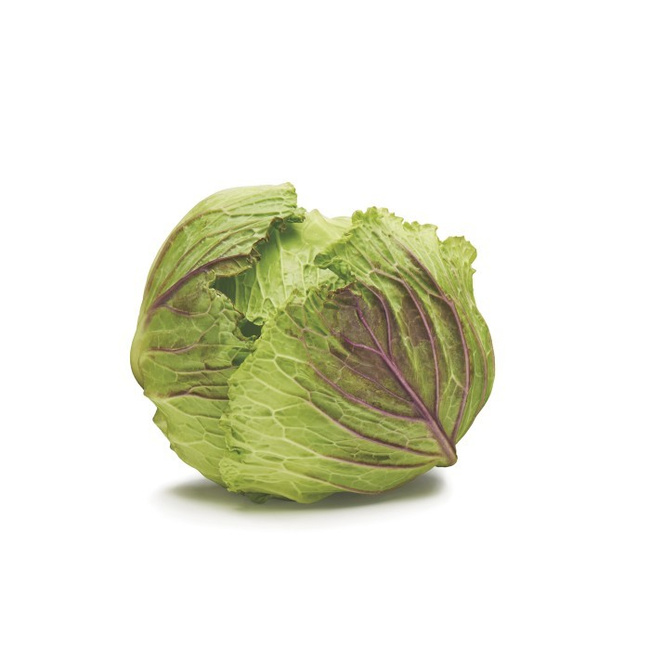 Pojemnik na warzywa i owoce Greensaver - 4 L Oxo