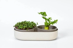 Plastia Microgreens Kiełkownica + Pojemnik Z Filtrem 30.5 X 16 Cm - Beżowy