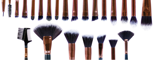 PROFESSIONAL COSMETIC BRUSH COLLECTION 24 PIECE SET - BRST - RIO